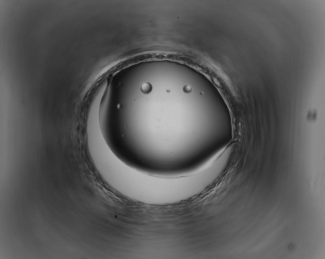 X0000101411352200807281016