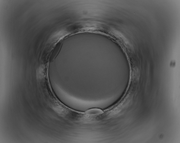 X0000101411353200807281016