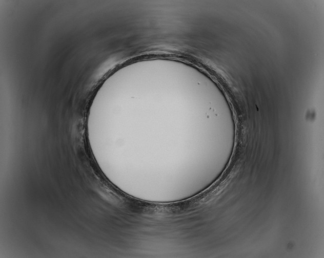 X0000101411355200807281016