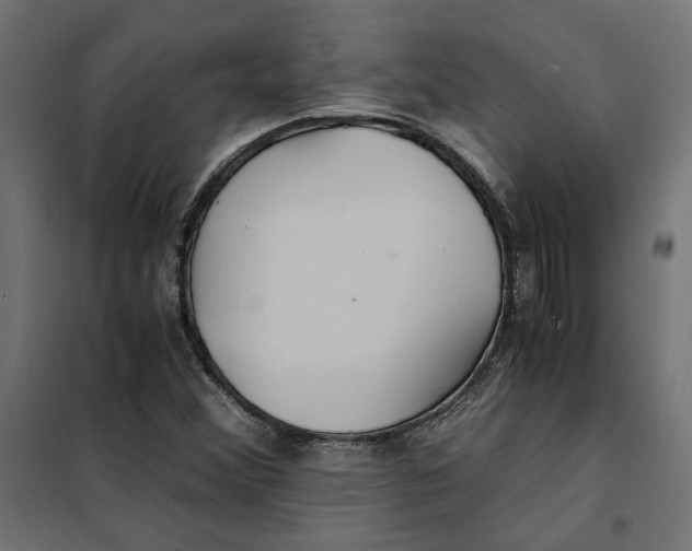 X0000101411356200807281016