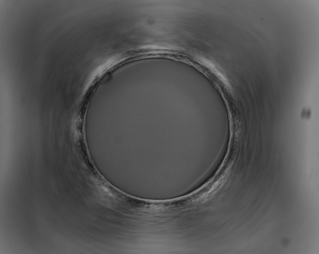 X0000101411357200807281016