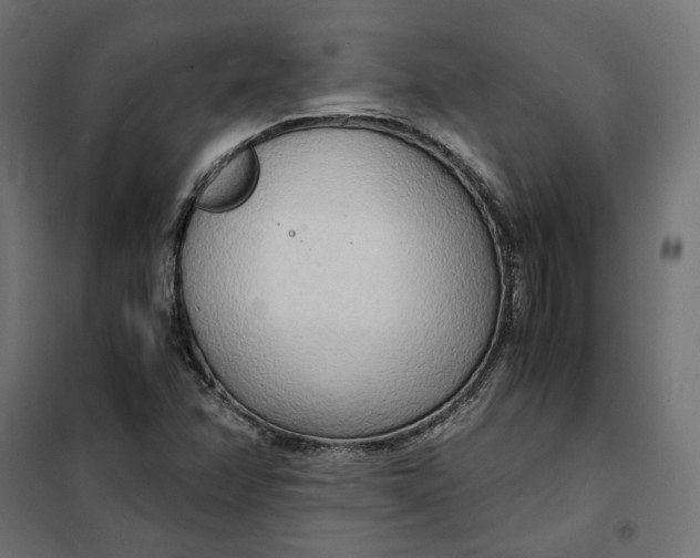 X0000101411358200807281015