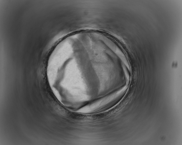 X0000101411359200807281015