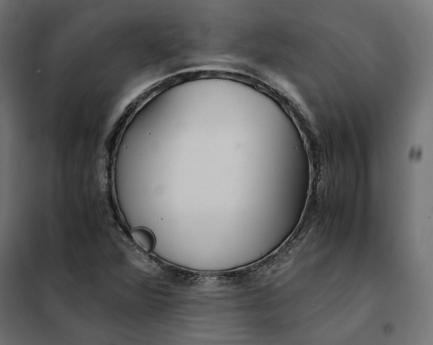 X0000101411360200807281015