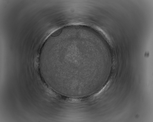 X0000101411361200807281015