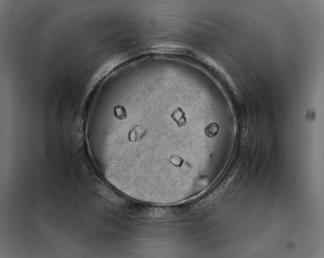 X0000101411362200807281015