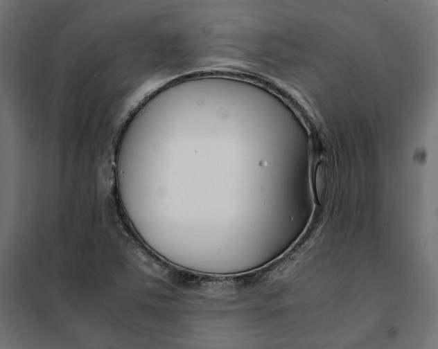 X0000101411363200807281015