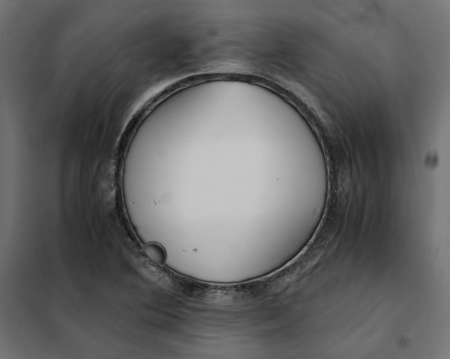 X0000101411364200807281015