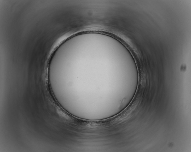 X0000101411366200807281015