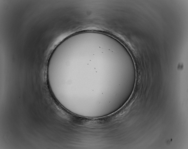 X0000101411367200807281015