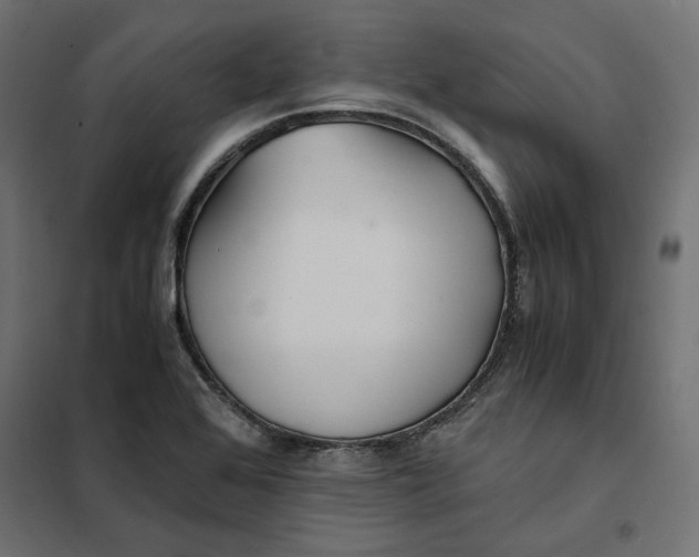 X0000101411368200807281015