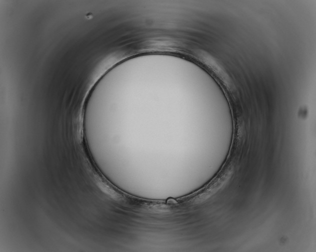 X0000101411370200807281015