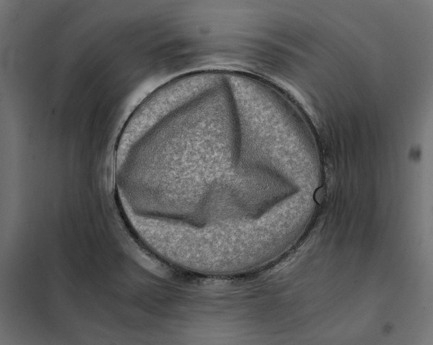 X0000101411371200807281015