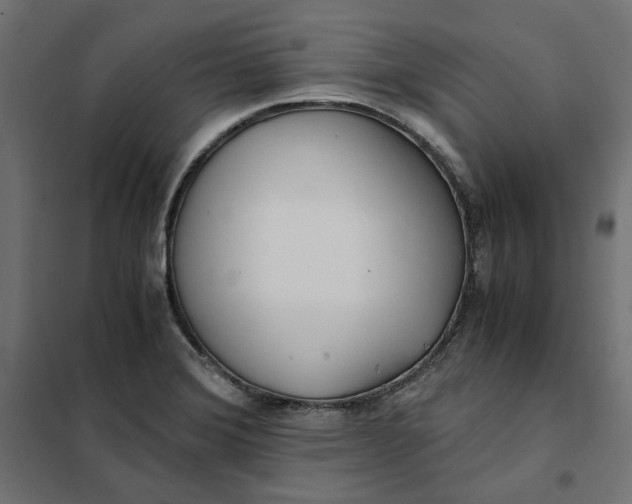 X0000101411372200807281015