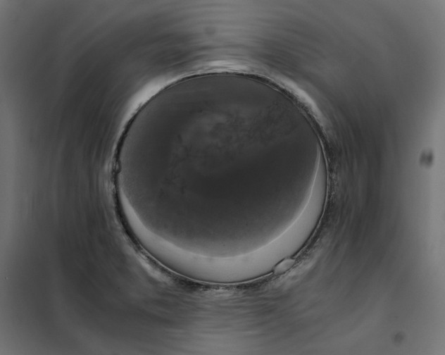 X0000101411373200807281015