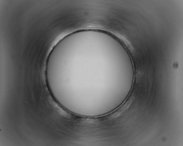 X0000101411374200807281015