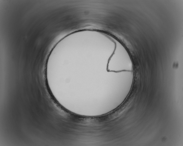 X0000101411375200807281015