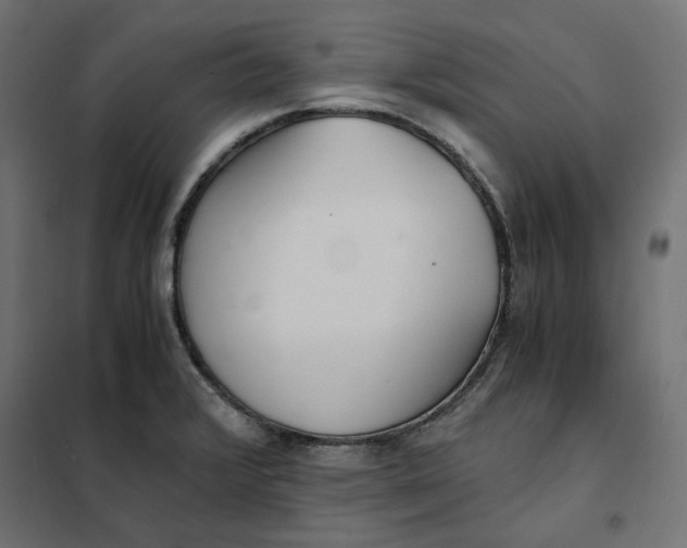 X0000101411376200807281015