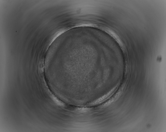 X0000101411377200807281015