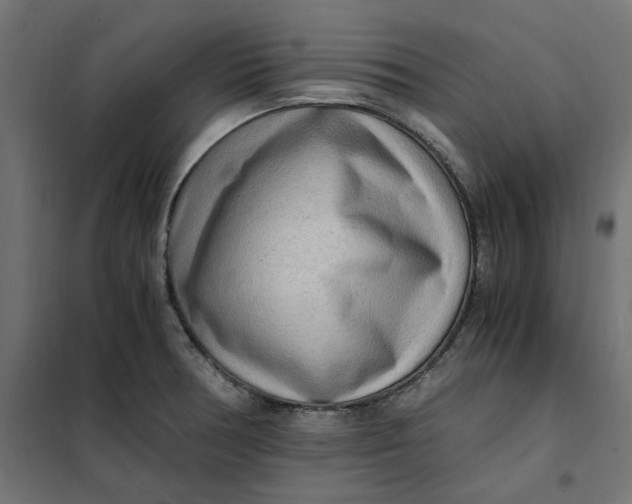 X0000101411378200807281015