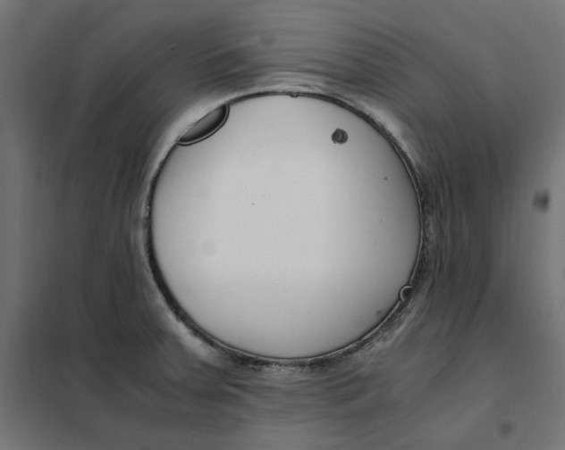 X0000101411379200807281015