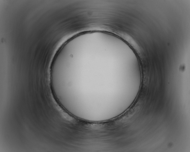 X0000101411380200807281015