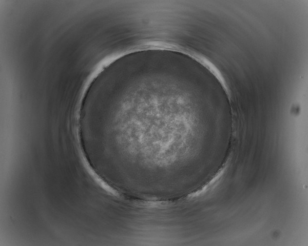 X0000101411381200807281015