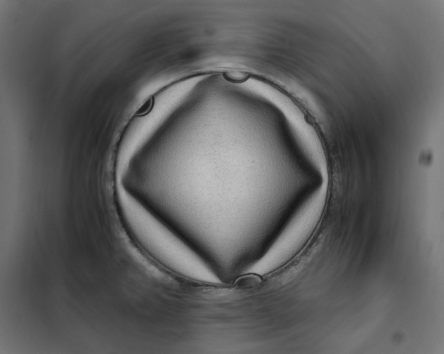 X0000101411382200807281015