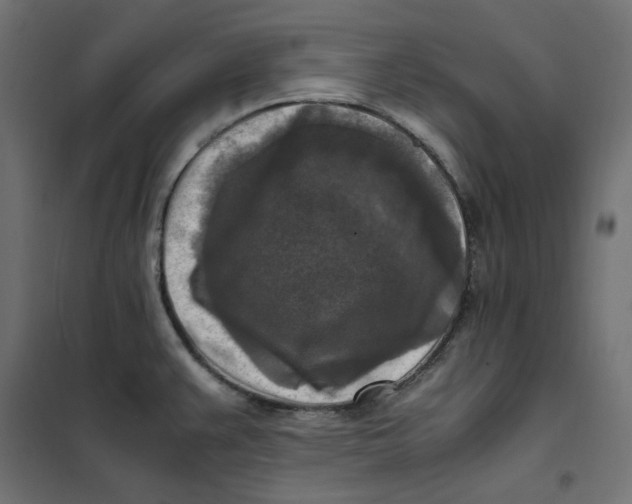 X0000101411383200807281015