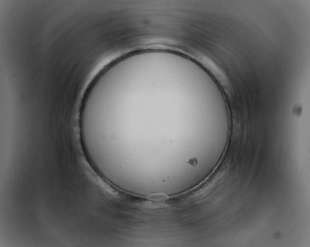 X0000101411384200807281015