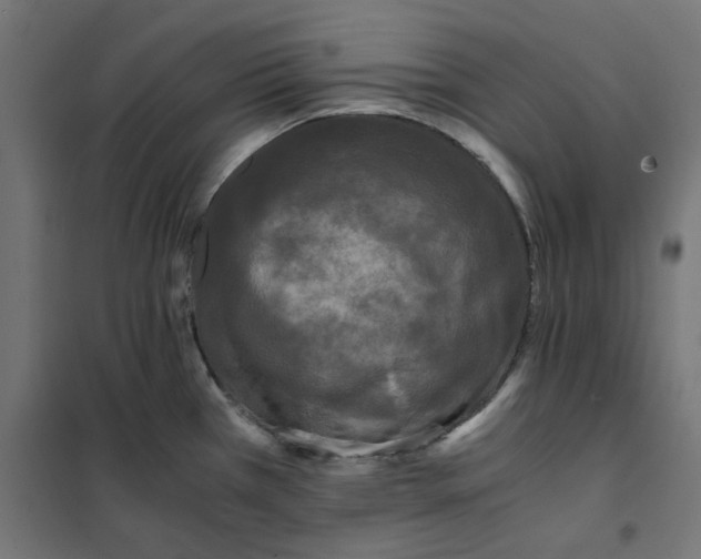 X0000101411385200807281015