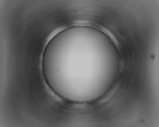 X0000101411386200807281015