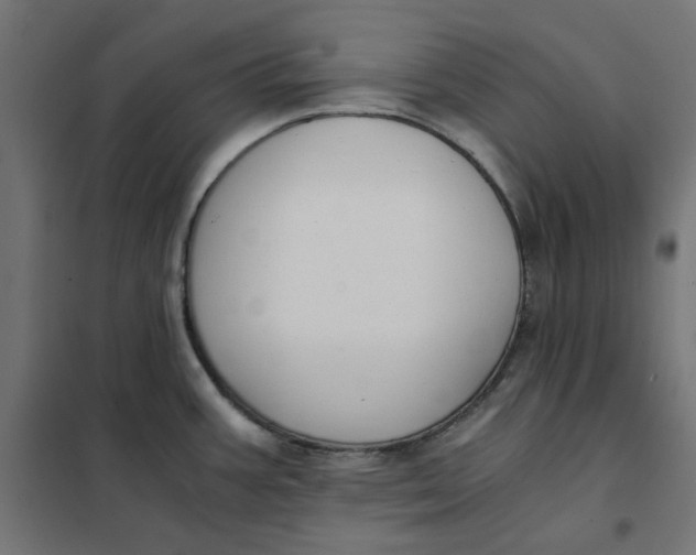 X0000101411387200807281015