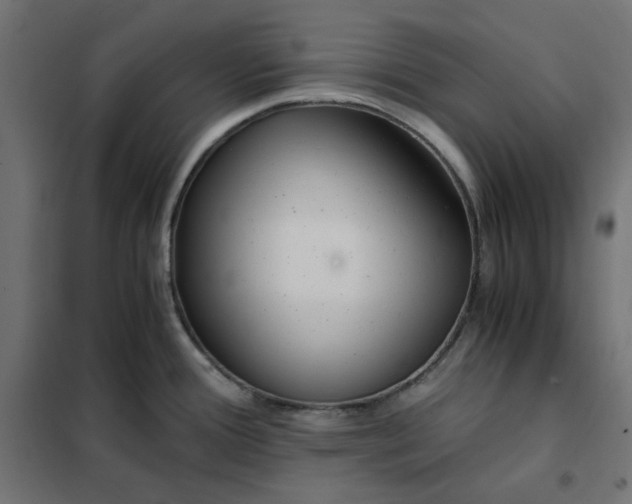 X0000101411388200807281015