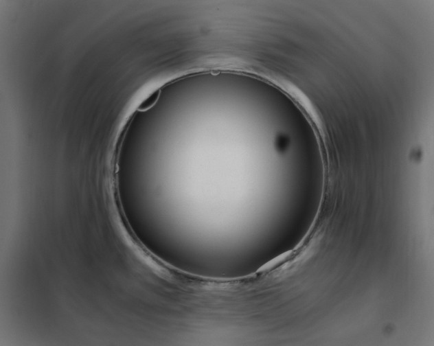 X0000101411389200807281015