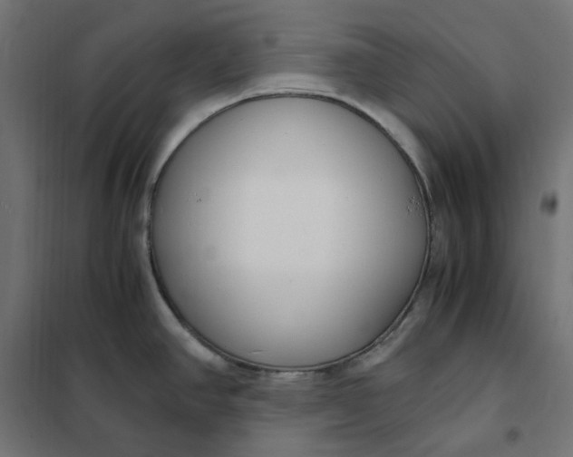 X0000101411390200807281015