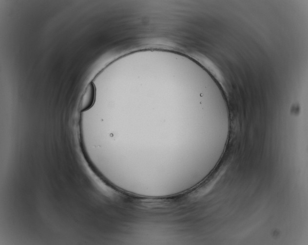 X0000101411391200807281015