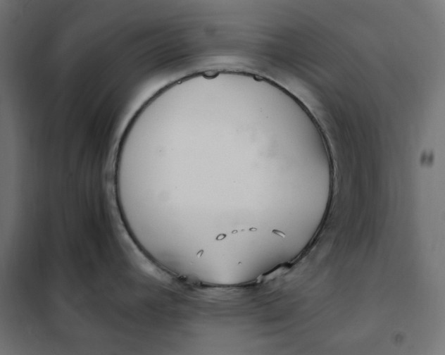 X0000101411392200807281015