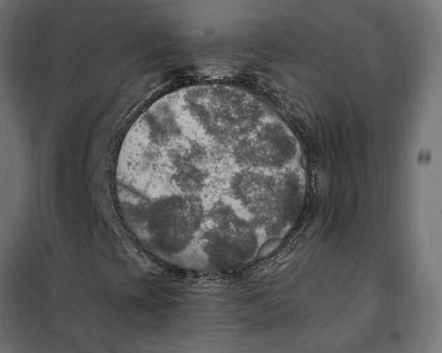 X0000101411393200807281014