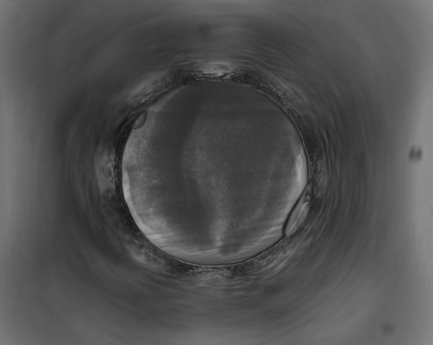 X0000101411394200807281014