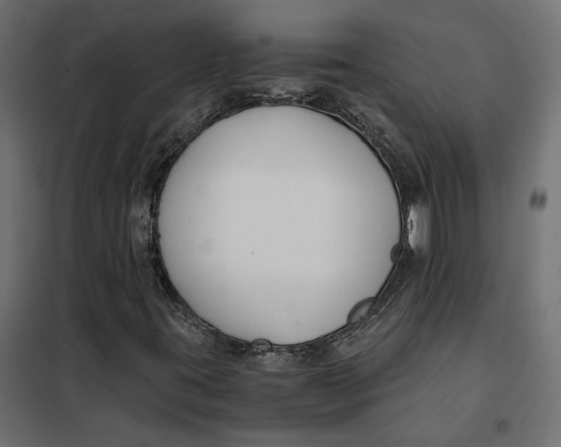 X0000101411395200807281014