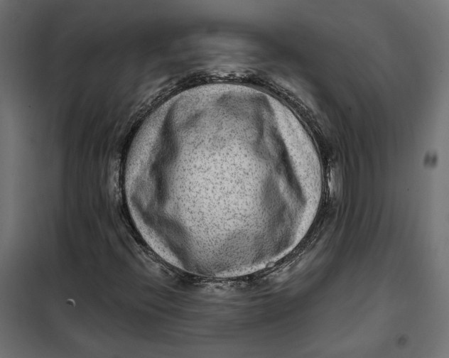 X0000101411396200807281014