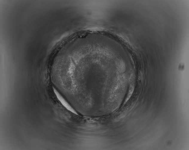 X0000101411398200807281014