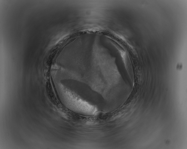 X0000101411399200807281014