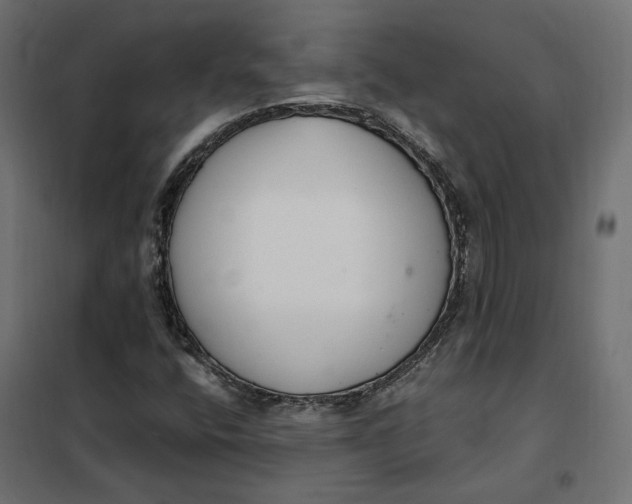 X0000101411400200807281014