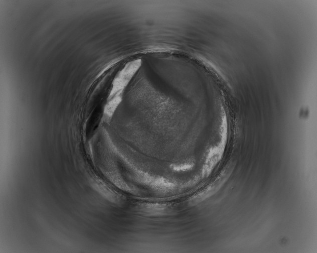 X0000101411401200807281014