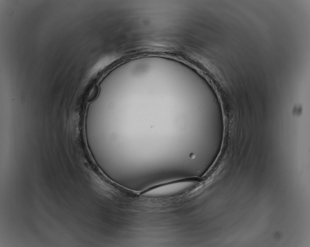 X0000101411402200807281014