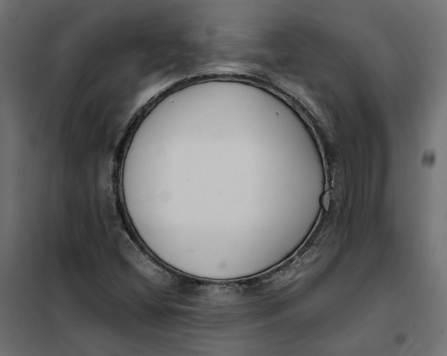 X0000101411404200807281015