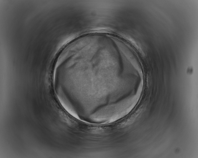 X0000101411405200807281015