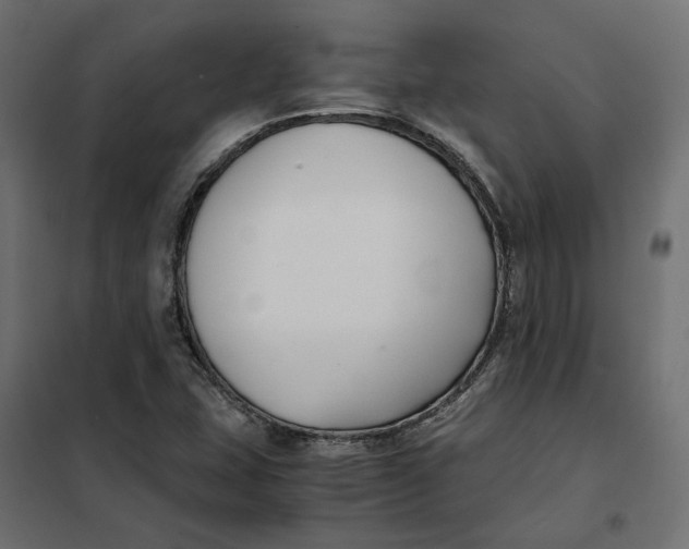 X0000101411407200807281015